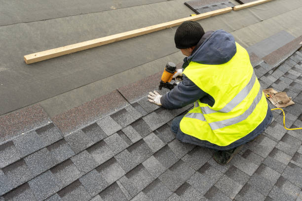 Best Roof Gutter Cleaning  in Pine Hills, FL