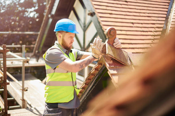 Residential Roof Replacement in Pine Hills, FL